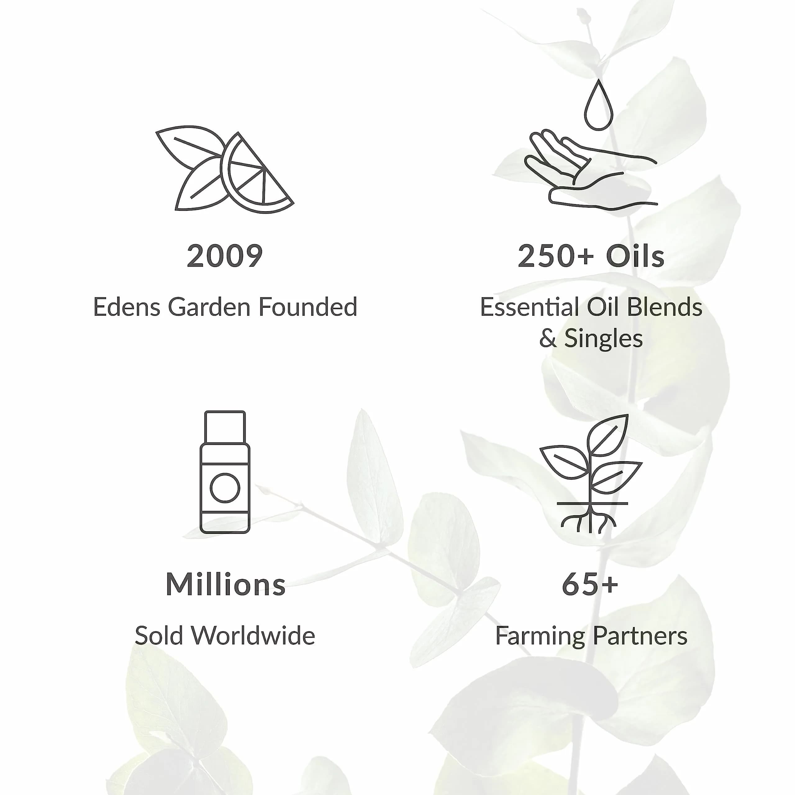 Edens Garden Meditation Essential Oil Blend 30 ml (1 fl oz) | Pure Aromatherapy for Peace - view 6