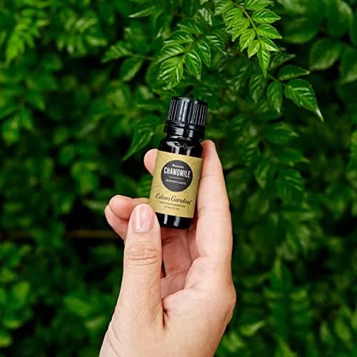 Edens Garden Roman Chamomile Essential Oil 10 ml | Relaxing Aromatherapy for Calm & Sleep thumbnail 2