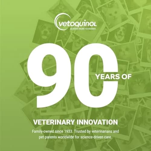 Vetoquinol Enzadent Enzymatic Toothpaste 3.2 oz | Poultry-Flavored Pet Oral Care thumbnail 7