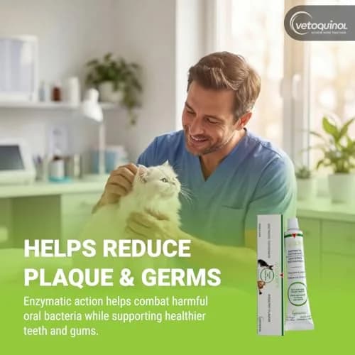Vetoquinol Enzadent Enzymatic Toothpaste 3.2 oz | Poultry-Flavored Pet Oral Care thumbnail 3