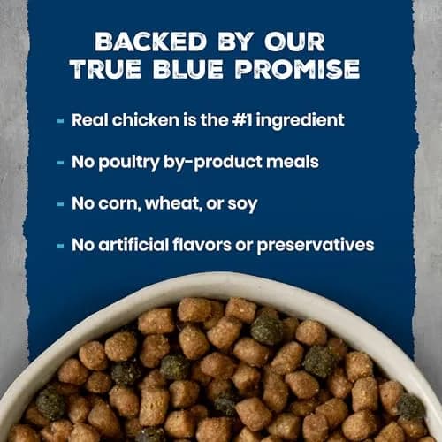Blue Buffalo Wilderness Chicken Adult Dry Cat Food, Grain-Free, 12 lb | High-Protein, Natural Nutrition thumbnail 4