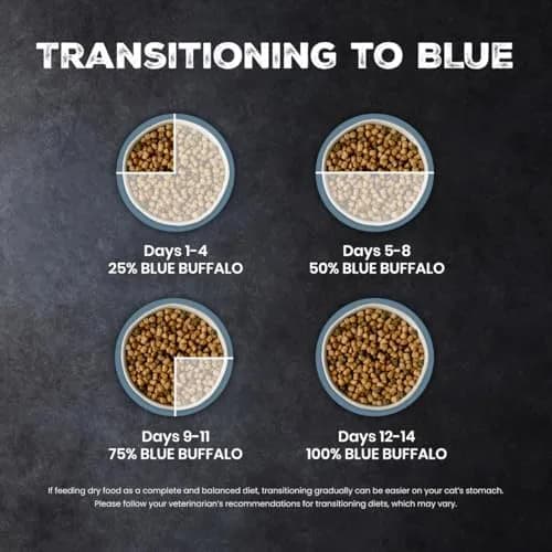 Blue Buffalo Wilderness Chicken Adult Dry Cat Food, Grain-Free, 12 lb | High-Protein, Natural Nutrition thumbnail 7