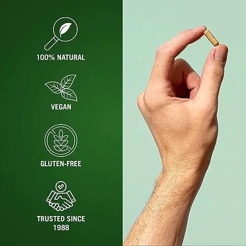 Century Systems The Cleaner Detox 104 Vegetarian Capsules | 14-Day Internal Cleansing for Men thumbnail 5