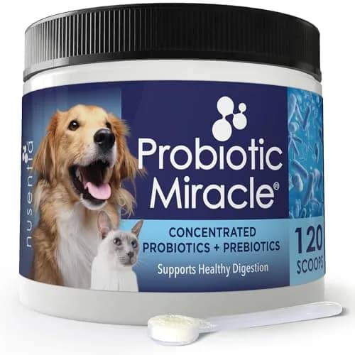 NUSENTIA Probiotics for Cats & Dogs 44g (120 scoops) | Gut & Digestive Support for Pets thumbnail 1