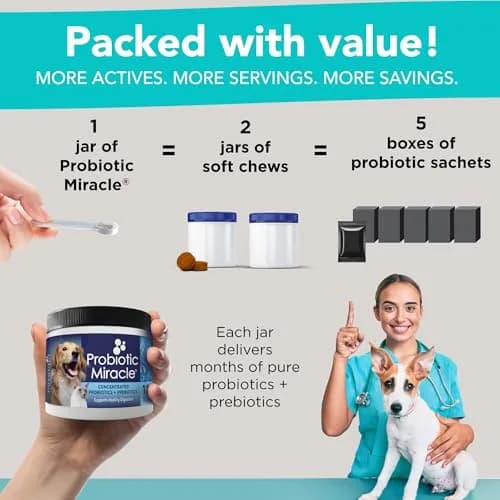 NUSENTIA Probiotics for Cats & Dogs 44g (120 scoops) | Gut & Digestive Support for Pets thumbnail 4