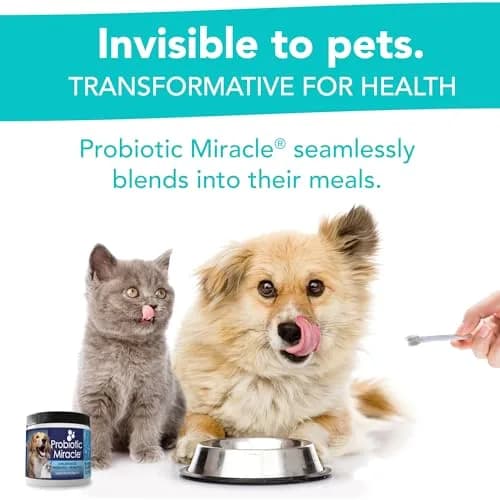 NUSENTIA Probiotics for Cats & Dogs 44g (120 scoops) | Gut & Digestive Support for Pets thumbnail 5