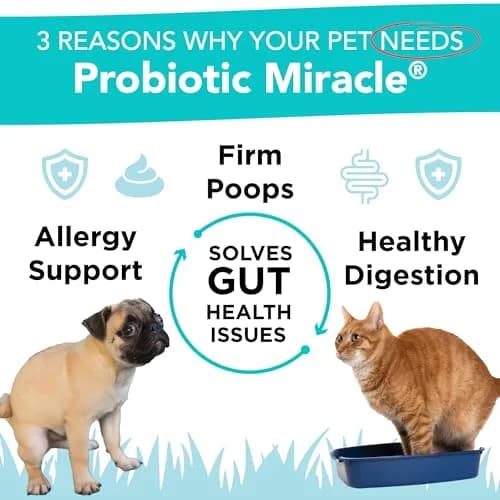 NUSENTIA Probiotics for Cats & Dogs 44g (120 scoops) | Gut & Digestive Support for Pets thumbnail 2