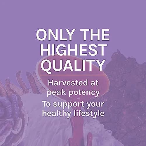 Host Defense Lion's Mane, Brain Support & Focus, 60 Capsules | Organic Mushroom for Mental Clarity thumbnail 8