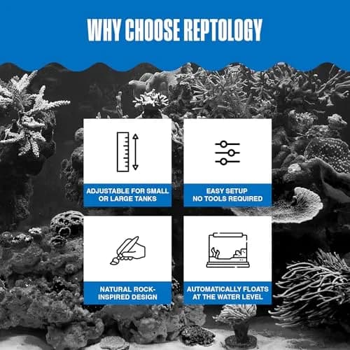 Penn-Plax Reptology Turtle Pier and Basking Platform, Medium - Adjust Height Up to 12 In - Floats at Water Level - Easy Ramp Access for Turtles, Frogs & Reptiles in Aquariums or Terrariums, 11.5x9.5 In thumbnail 5