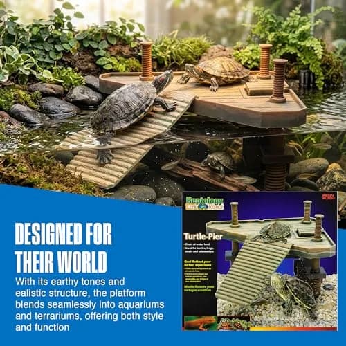 Penn-Plax Reptology Turtle Pier and Basking Platform, Medium - Adjust Height Up to 12 In - Floats at Water Level - Easy Ramp Access for Turtles, Frogs & Reptiles in Aquariums or Terrariums, 11.5x9.5 In thumbnail 6