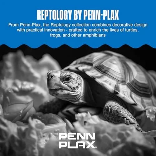 Penn-Plax Reptology Turtle Pier and Basking Platform, Medium - Adjust Height Up to 12 In - Floats at Water Level - Easy Ramp Access for Turtles, Frogs & Reptiles in Aquariums or Terrariums, 11.5x9.5 In thumbnail 7