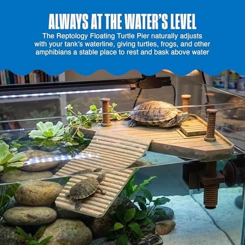 Penn-Plax Reptology Turtle Pier and Basking Platform, Medium - Adjust Height Up to 12 In - Floats at Water Level - Easy Ramp Access for Turtles, Frogs & Reptiles in Aquariums or Terrariums, 11.5x9.5 In thumbnail 2