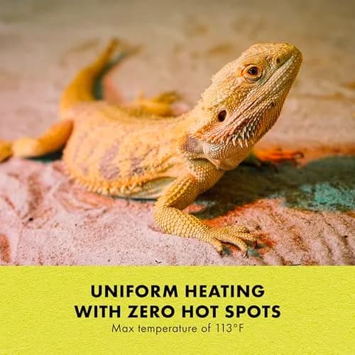 Zilla Heat Mat for Reptiles, Terrarium Heater, Medium, 8 Watt | Self-Regulating Infrared Heat thumbnail 5