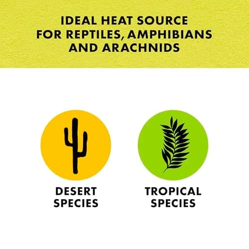 Zilla Heat Mat for Reptiles, Terrarium Heater, Medium, 8 Watt | Self-Regulating Infrared Heat thumbnail 7