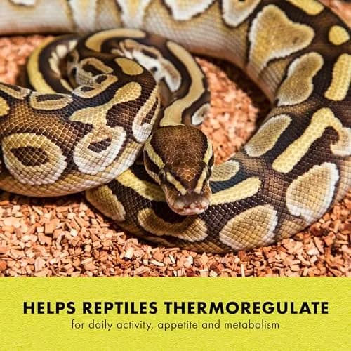 Zilla Heat Mat for Reptiles, Terrarium Heater, Medium, 8 Watt | Self-Regulating Infrared Heat thumbnail 4
