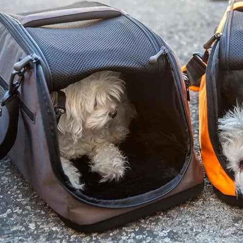 Sleepypod® Air Airline Approved Pet Carrier, Crash Tested, Dark Chocolate | In-Cabin Travel Bed & Car Seat thumbnail 5
