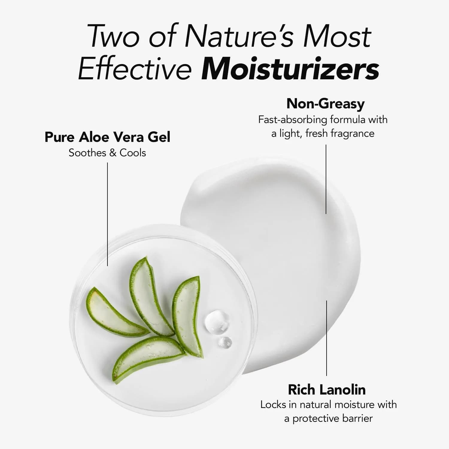 Triple Lanolin Aloe Vera Soothing Lotion 590ml (20 Fl Oz) | Professional Hydration for All Skin Types - view 2