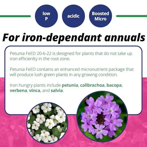 Jack's Classic 20-6-22 Petunia Feed Water-Soluble Fertilizer 10lb | Iron & Micronutrients for Lush Growth thumbnail 4