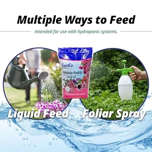 Jack's Classic 20-6-22 Petunia Feed Water-Soluble Fertilizer 10lb | Iron & Micronutrients for Lush Growth thumbnail 6