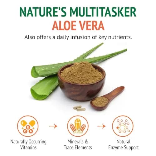 Botanic Choice Aloe Vera Leaf & Latex 500mg | Digestive & Immune Support in 90 Capsules thumbnail 5