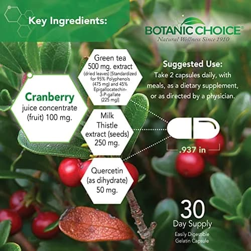 Botanic Choice Ultra Kidney Complex Kidney Support Supplement, 60 Capsules | Herbal Kidney Support with Toxin Flush thumbnail 3