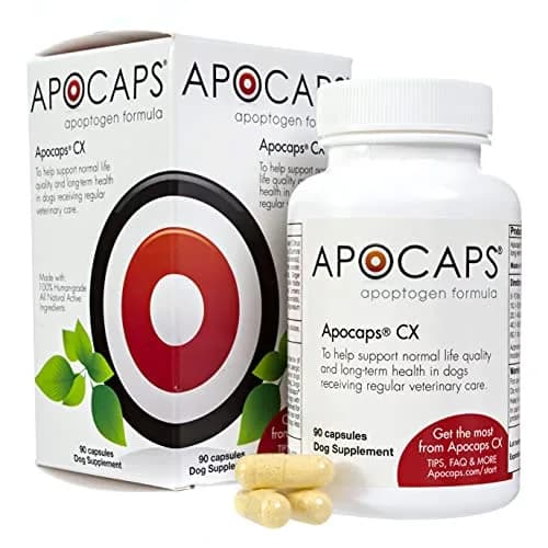 Apocaps CX Apoptogen Formula for Dogs 90 Capsules | Vet-Formulated Immune & Liver Support thumbnail 1