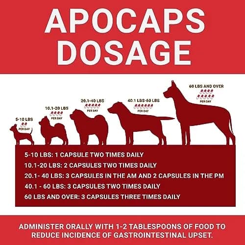 Apocaps CX Apoptogen Formula for Dogs 90 Capsules | Vet-Formulated Immune & Liver Support thumbnail 4