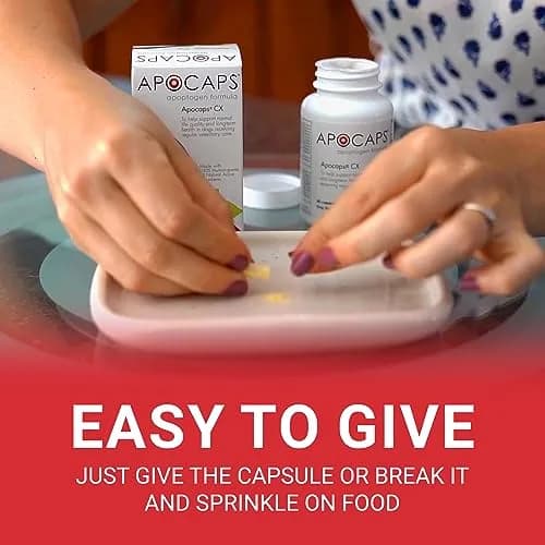 Apocaps CX Apoptogen Formula for Dogs 90 Capsules | Vet-Formulated Immune & Liver Support thumbnail 5