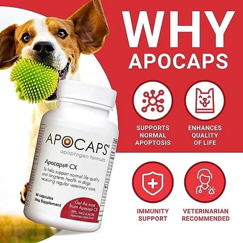 Apocaps CX Apoptogen Formula for Dogs 90 Capsules | Vet-Formulated Immune & Liver Support thumbnail 2