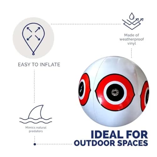 Bird-X Scare-Eye Balloon Predator 3D Eye Balloons 15" Inflated (Pack of 1) thumbnail 5