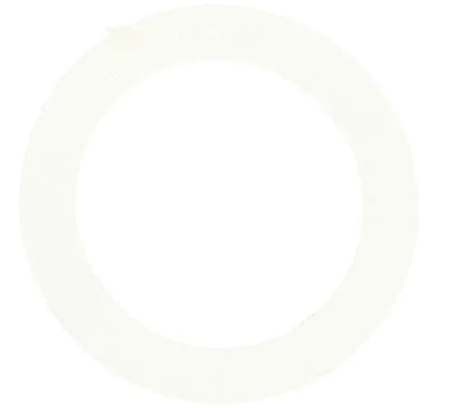 Waterway 711-4010 Waterway O-Ring for 2 in. Union | Pool & Spa Replacement Part thumbnail 1
