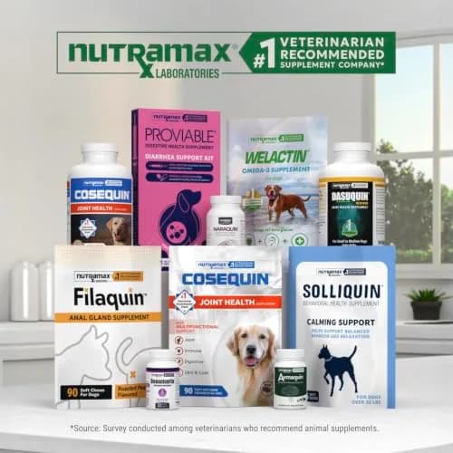 Nutramax Dasuquin Joint Supplement for Small/Med Dogs 84 Soft Chews | Supports Healthy Joints & Cartilage thumbnail 8