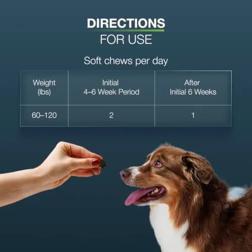 Nutramax Dasuquin Joint Supplement for Large Dogs, Soft Chews, 84ct | Supports Healthy Joints & Cartilage thumbnail 9