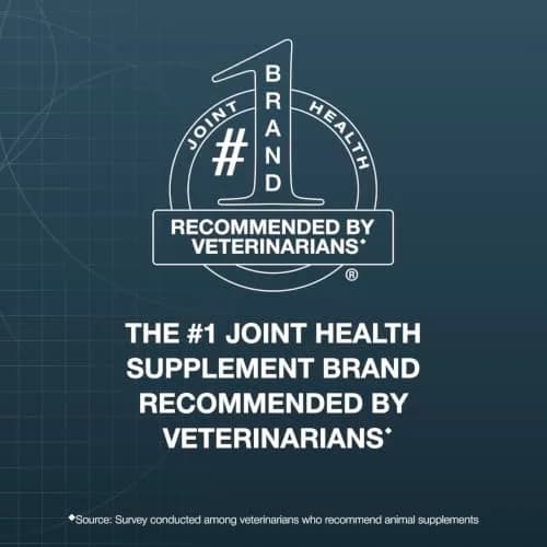 Nutramax Dasuquin Joint Supplement for Large Dogs, Soft Chews, 84ct | Supports Healthy Joints & Cartilage thumbnail 2