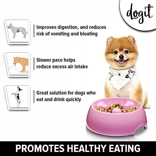 Dogit Dog Bowl Slow Feeder Pink XS | Promotes Healthy Eating & Digestion thumbnail 2