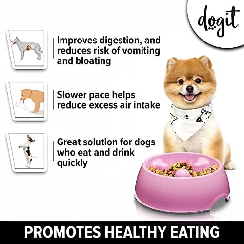 Dogit Dog Bowl Slow Feeder Pink Small | Anti-Gulping Pet Dish for Dogs thumbnail 2