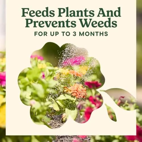 Miracle-Gro Shake 'N Feed All Purpose Plant Food + Weed Preventer 4.5 lb | Feeds & Prevents Weeds for Garden thumbnail 6