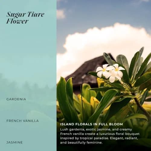 LALICIOUS Sugar Tiare Flower Exfoliating Body Scrub 16oz | Moisturizing Whipped Exfoliator for Sensitive Skin thumbnail 8