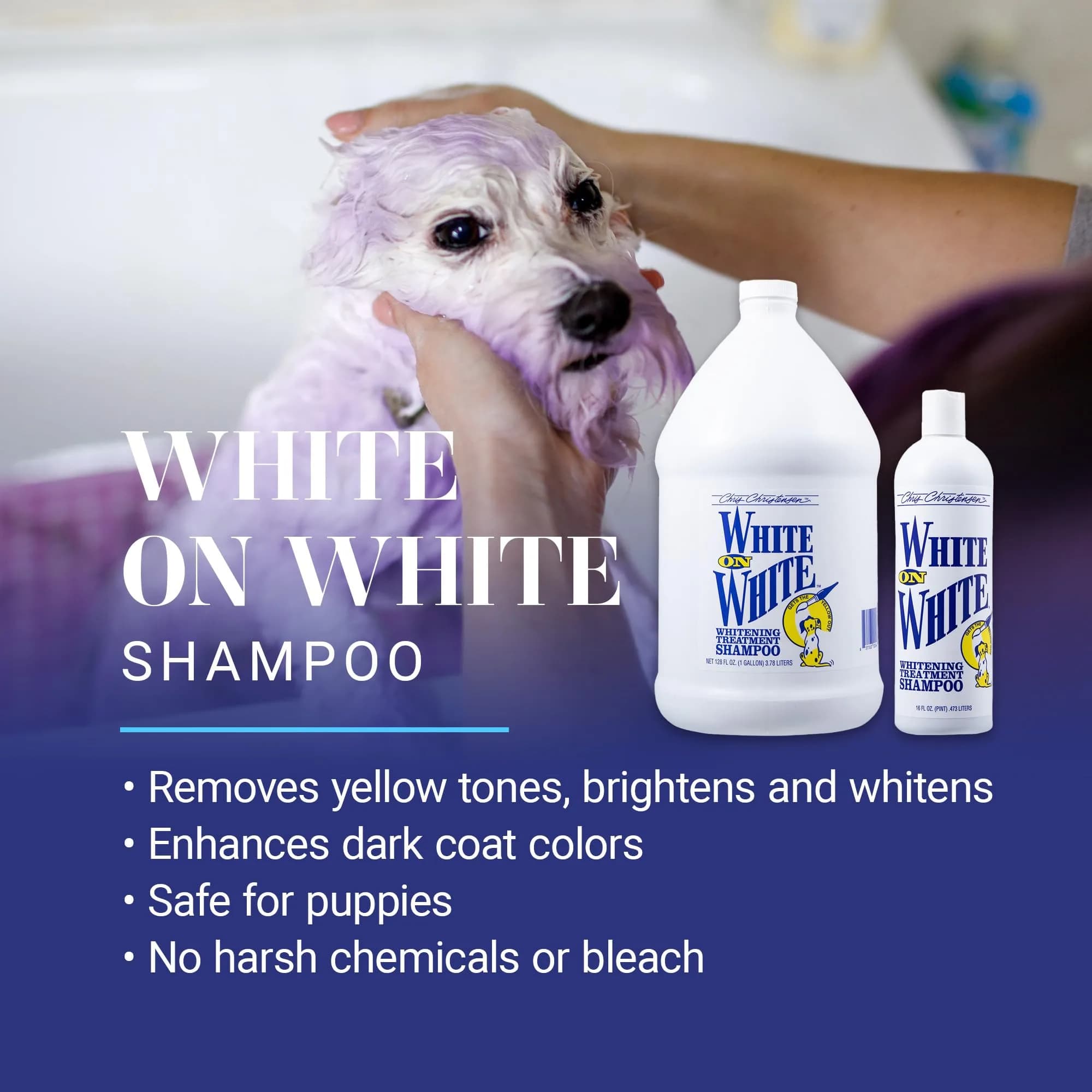 Chris Christensen White on White Whitening Treatment Dog Shampoo (1GAL) thumbnail 2