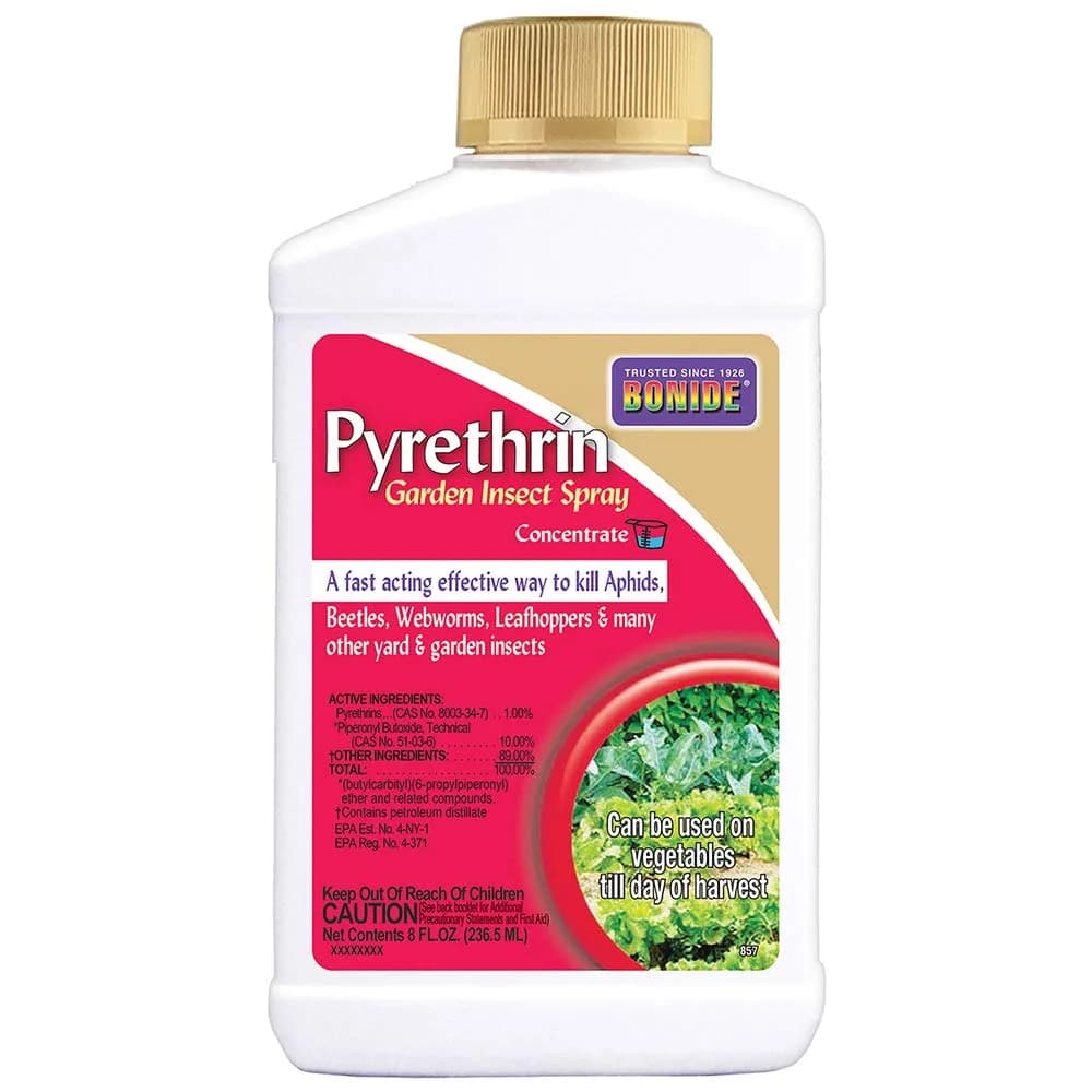 Bonide Pyrethrin Garden Insect Spray Concentrate 8 oz (237 ml) | Fast Acting Insecticide for Outdoor Garden Use - main product image