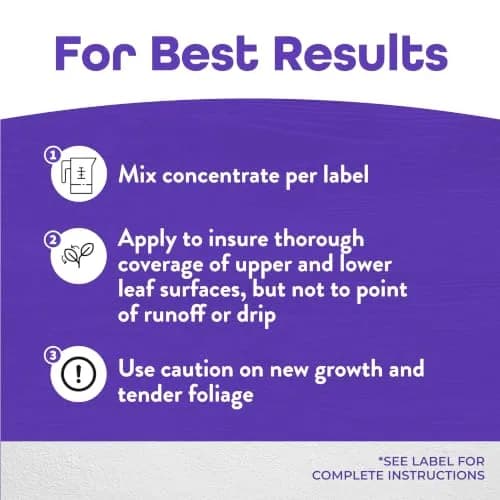 Bonide Pyrethrin Garden Insect Spray Concentrate 8 oz (237 ml) | Fast Acting Insecticide for Outdoor Garden Use thumbnail 4
