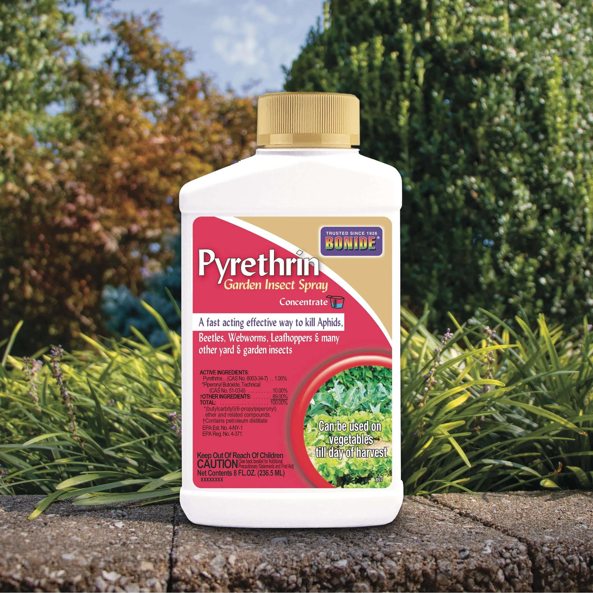 Bonide Pyrethrin Garden Insect Spray Concentrate 8 oz (237 ml) | Fast Acting Insecticide for Outdoor Garden Use - view 6
