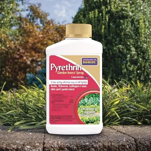 Bonide Pyrethrin Garden Insect Spray Concentrate 8 oz (237 ml) | Fast Acting Insecticide for Outdoor Garden Use thumbnail 6