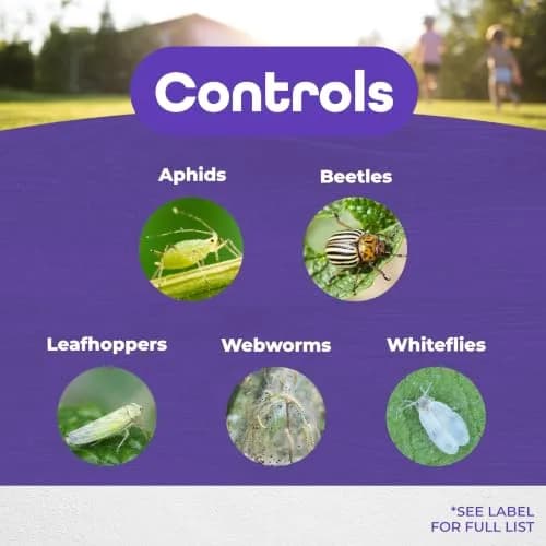 Bonide Pyrethrin Garden Insect Spray Concentrate 8 oz (237 ml) | Fast Acting Insecticide for Outdoor Garden Use thumbnail 3
