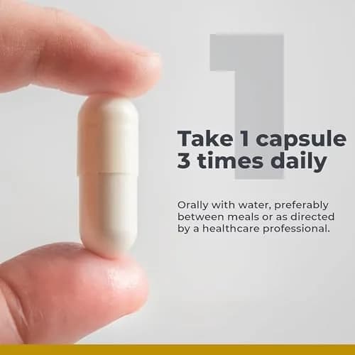 Premier Research Labs Premier Digest 60 Plant-Sourced Capsules | Supports Full Spectrum Digestion thumbnail 5