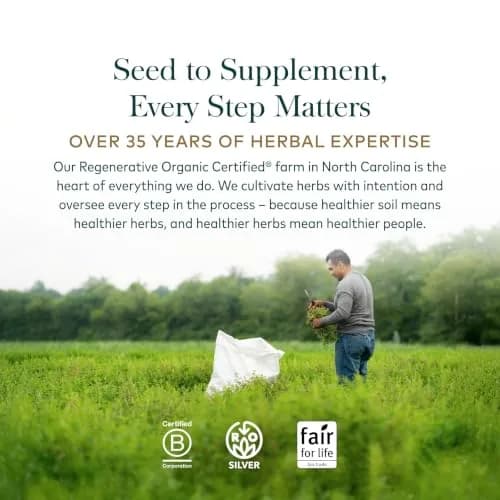 Gaia Herbs Menopause Support Daytime, 60 Vegan Capsules | Supports Hormonal Balance & Well-Being thumbnail 8