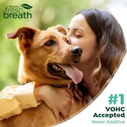 TropiClean Fresh Breath Water Additive for Dogs 473ml (16 Fl Oz) | Odorless, VOHC Accepted, No Brushing Required thumbnail 8