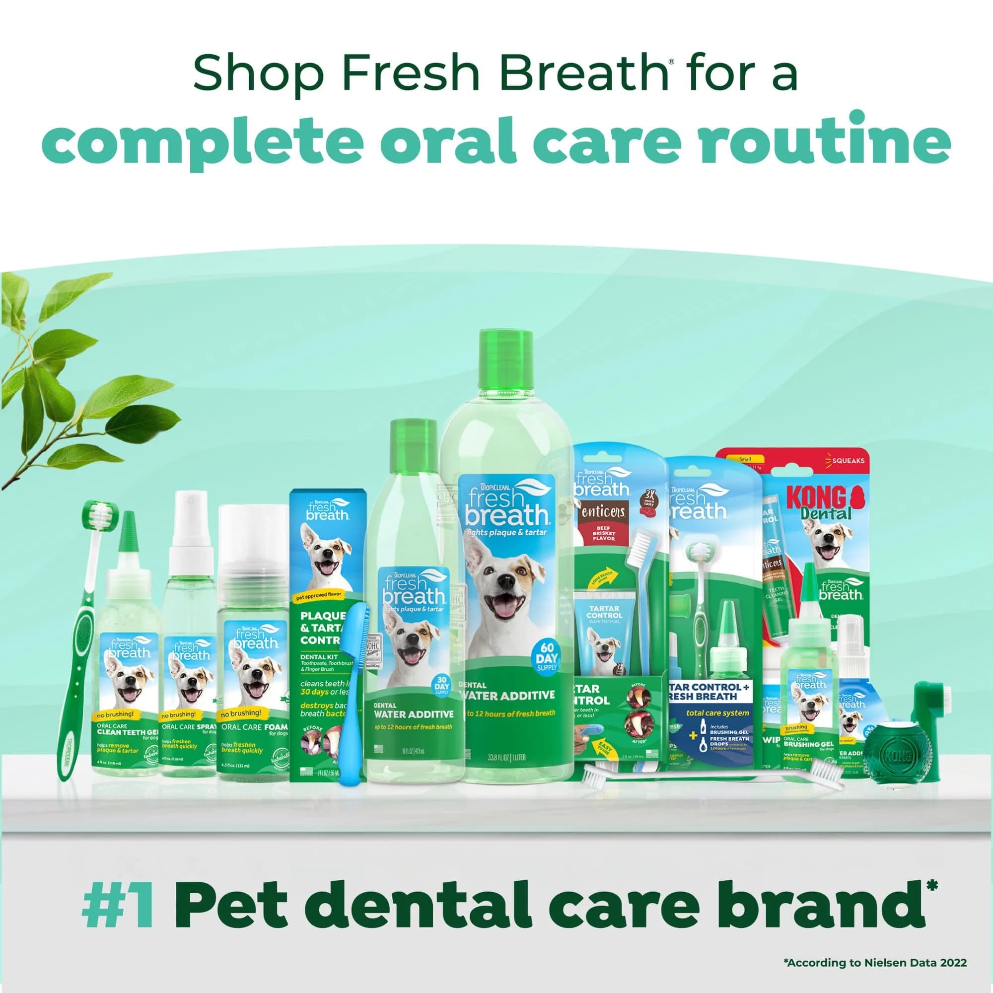 TropiClean Fresh Breath No Brushing Dog Toothpaste Gel 4oz (118ml) | Fights Bad Breath & Plaque thumbnail 6