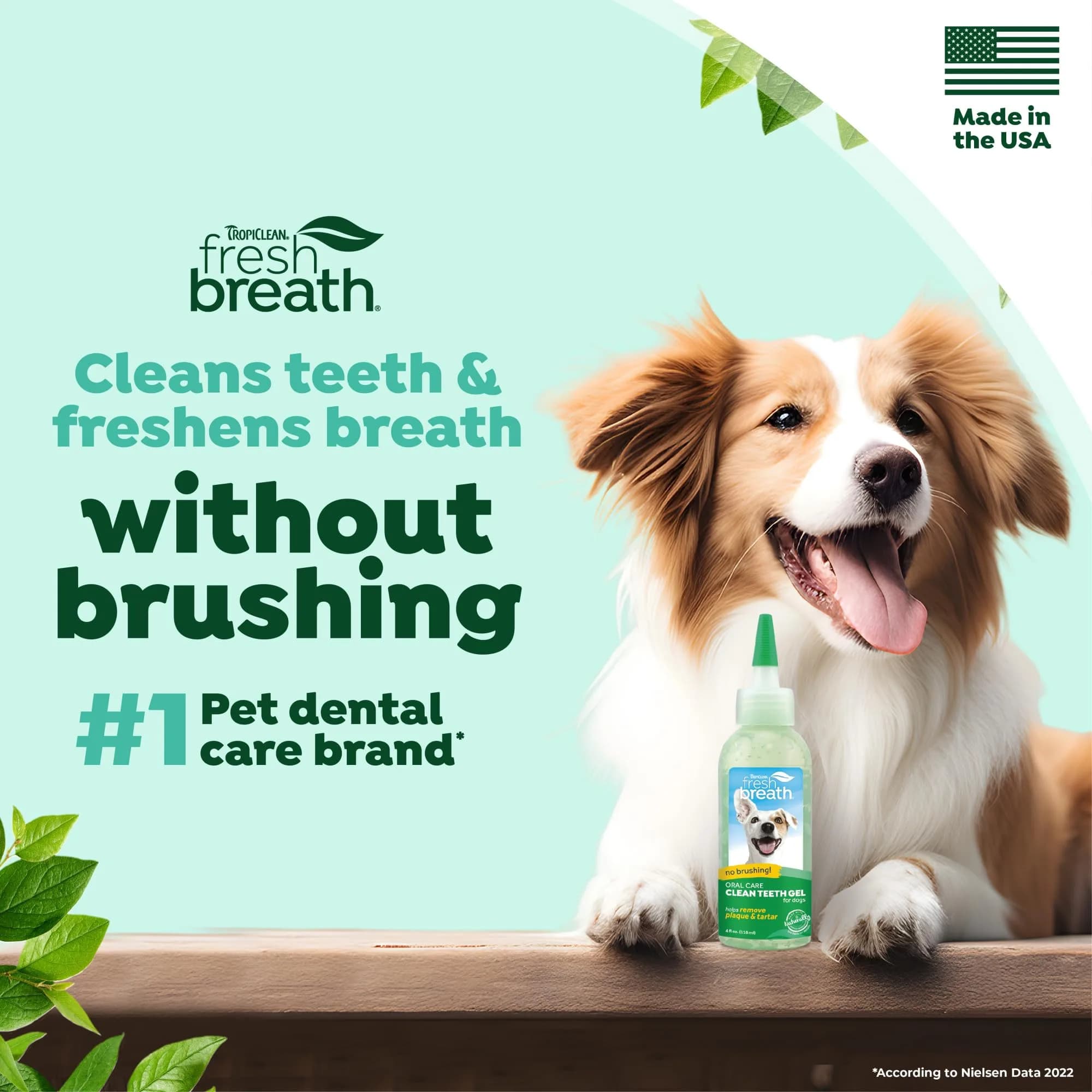 TropiClean Fresh Breath No Brushing Dog Toothpaste Gel 4oz (118ml) | Fights Bad Breath & Plaque thumbnail 2