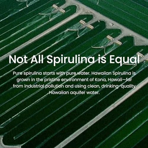 Nutrex Hawaii Pure Hawaiian Spirulina Tablets, Vegan, 500 mg, 400 Count | Supports Eye & Immune Health thumbnail 6